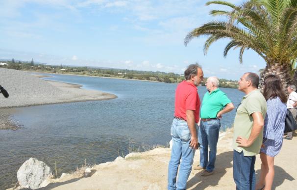 El Ayuntamiento de San Roque denuncia la aparición de peces muertos en la bocana del Guadiaro