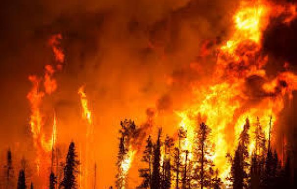 Arden en España 75.026 hectáreas de bosque, el peor dato de los últimos cinco años