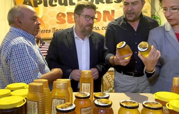 El Plan Apícola 2017 dota con dos millones de euros en ayudas a tres entidades del sector y 1.228 apicultores