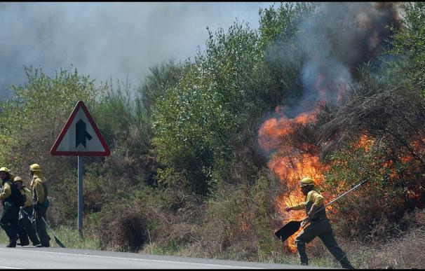 Galicia registra varios fuegos en 24 horas que queman cerca de 200 hectáreas