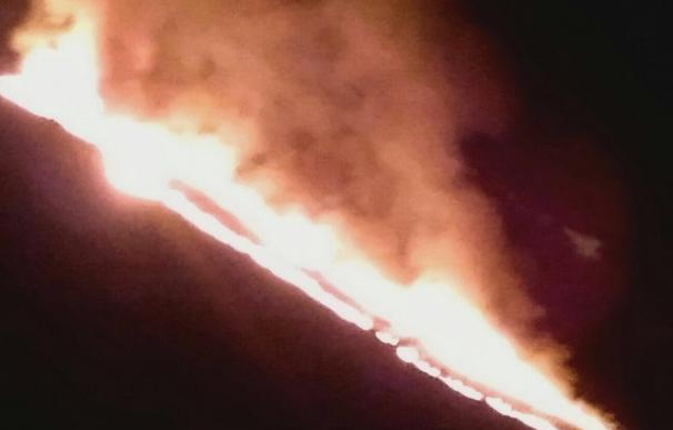 La Fiscalía destaca el descenso de pirómanos y alerta del aumento "importante" de incendios por caza y quemas de pastos