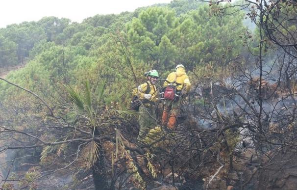 Infoca continúa trabajando en el incendio forestal declarado en Benahavís, ya controlado