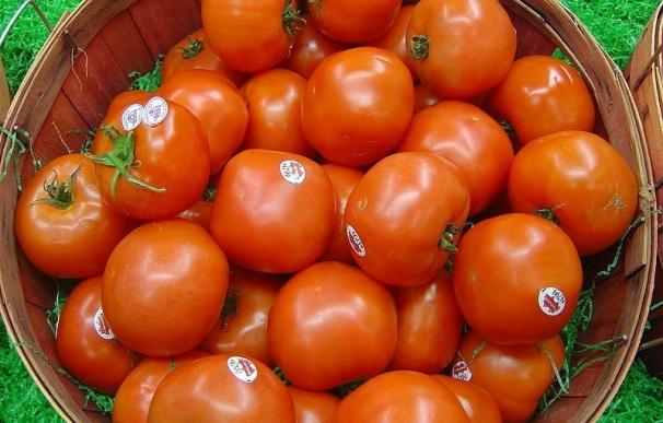 Un solo tomate aporta alrededor del 40% del requerimiento diario de vitamina C, esencial para la piel, según una experta