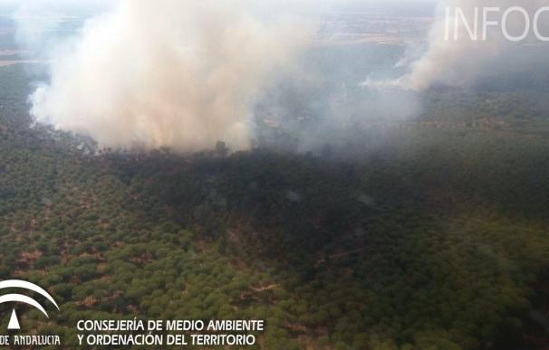 El incendio de Villamanrique afecta a 13 hectáreas y partió de tres focos, según el Ayuntamiento