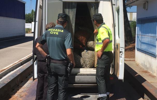 Interceptada en O Porriño (Pontevedra) una furgoneta con más de 4 toneladas de almeja sin identificación