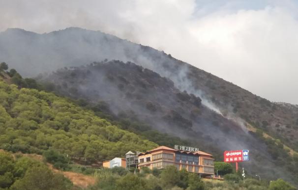 El incendio forestal de Mijas afecta a cuatro hectáreas de matorral y arbolado, según Infoca