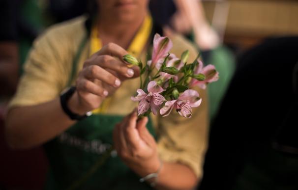 Arranca el campeonato para elegir el mejor artesano florista de España