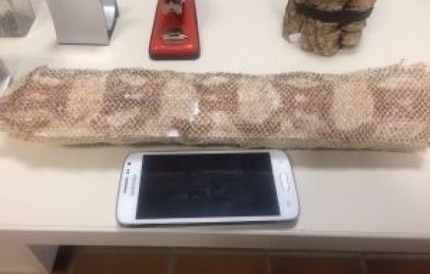 Investigan si hay indicios de una gran serpiente en Hornachuelos tras hallar una piel