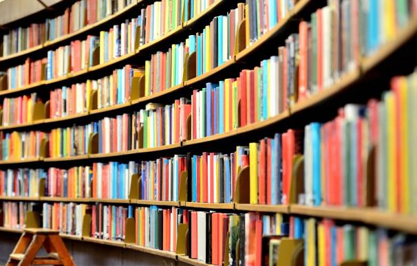 La Red de Lectura Pública de Euskadi reunirá al conjunto de bibliotecas municipales tras la incorporación de Santurtzi