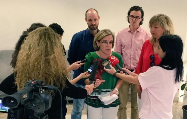 PSOE cree que un acuerdo para una declaración institucional en el Pleno será un "buen mensaje para la ciudadanía"