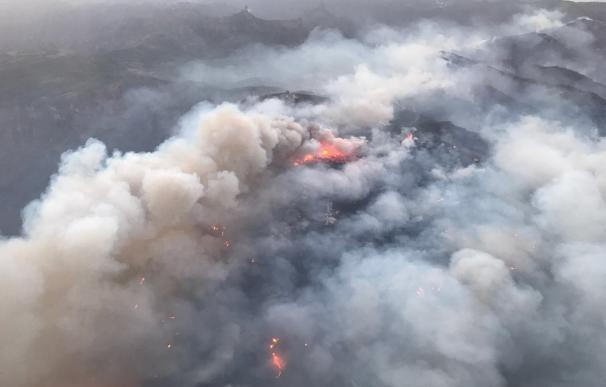 Se reactiva el fuego de Gran Canaria en la zona de Llanos de la Pez