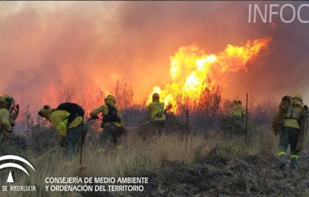 Ecologistas alertan de que los incendios en Huelva y Sevilla afectan a espacios "de alto valor ecológico"