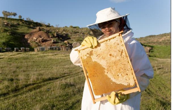 La Junta autoriza el pago de 5,7 millones de euros de ayudas agroambientales para 1.074 apicultores
