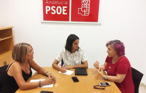 PSOE-A pedirá que las madres, cuyos hijos sean asesinados por sus parejas o exparejas, sean víctimas de violencia género