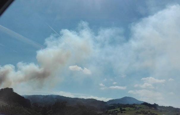 El fuego afectó a 1.699 hectáreas de superficie arbolada en Asturias hasta agosto