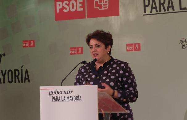 El PSOE valora el metro como un proyecto "clave y estratégico" para la mejora de la movilidad interurbana