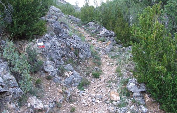 IU pide recuperar caminos públicos y vías pecuarias en Parque Natural de la Sierra de Aracena y Picos de Aroche