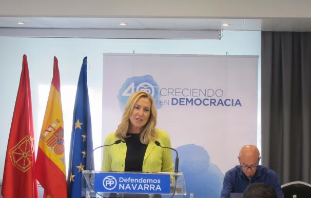 Beltrán (PPN): "Navarra no aguanta otra legislatura de gobierno nacionalista"