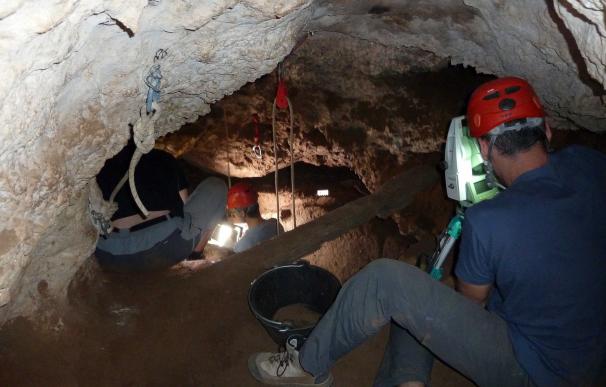 Descubiertos en Tamajón (Guadalajara) los restos más antiguos de Homo Sapiens en la Meseta