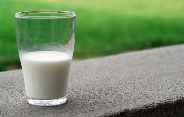 El sector lácteo pide a las autoridades reforzar la presencia de estos productos en los comedores escolares