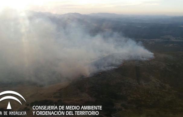 El Infoca extingue el incendio forestal de Ronda en la zona no militar