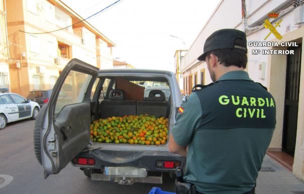 Tres detenidos tras recuperar 500 kilos de naranjas sustraídas en Villablanca