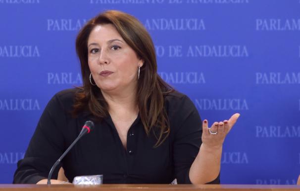 PP-A avisa de que los andaluces esperan un "apoyo unánime" del Parlamento a la PNL en defensa del Estado de derecho
