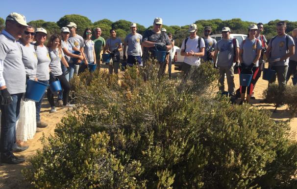 Organizan un encuentro de voluntarios para la restauración en el incendio en el entorno de Doñana