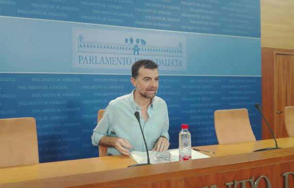 Maíllo pide "mesura" a Pérez Tapias y que respete las posturas de cada organización que compone IULV-CA, como el PCA