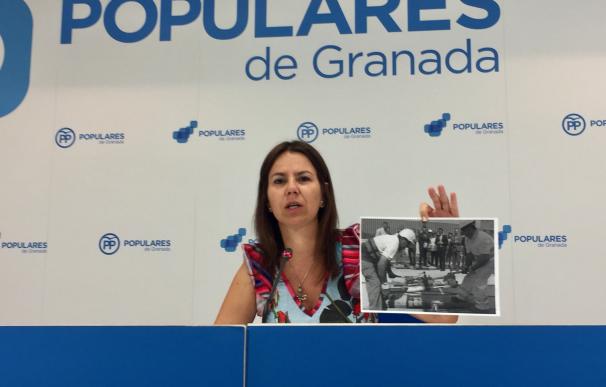 PP pide a la delegada de la Junta su dimisión por "mentir" sobre el seguro de responsabilidad civil del metro