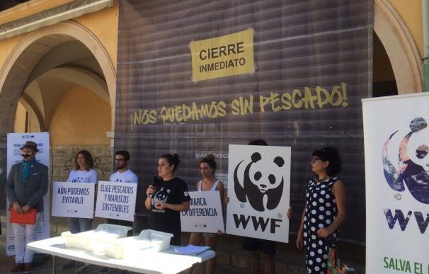 WWF denuncia los efectos de la sobreexplotación del mar "cerrando" el Mercado del Olivar