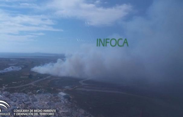 Declarado un incendio en una zona de marismas en el paraje 'Isla Canela' de Ayamonte