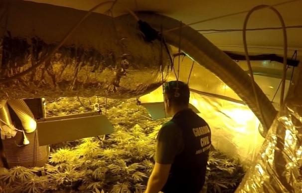 Detenidas tres personas por cultivar marihuana en una vivienda de La Roda de Andalucía