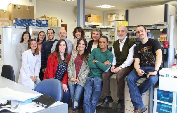 Un protocolo desarrollado por la Universidad de Oviedo permite detectar especies invasoras mediante ADN de agua de mar