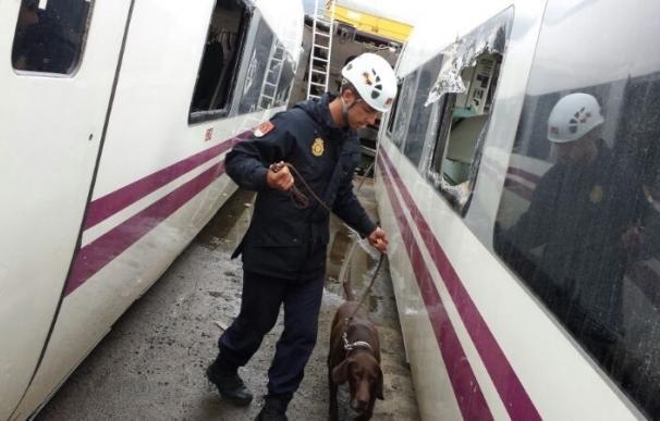 Un perro policía que trabajó en el accidente de Angrois "se jubila" con una familia en Galicia