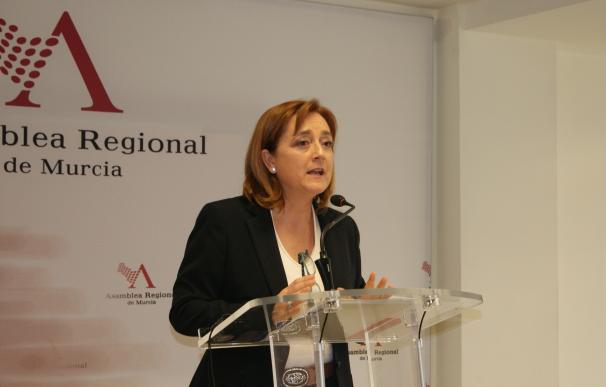 PSOE denuncia que el IMAS sigue sin cumplir con las personas dependientes