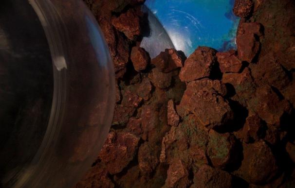 El acuario Poema del Mar, en Las Palmas de Gran Canaria, acogerá a las especies canarias en una bóveda envolvente