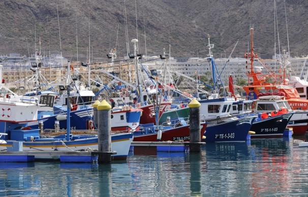 Una treintena de barcos eligen Los Cristianos como puerto base para la pesca del atún rojo