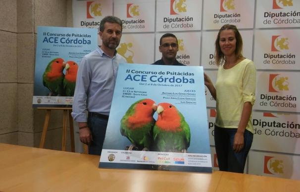 El II Concurso de Agapornis Club de España congregará a más de 500 ejemplares