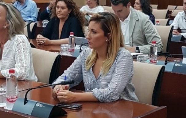 La malagueña María de las Nieves Ramírez, nueva portavoz del PSOE en la Comisión sobre protección de la infancia