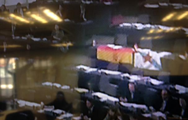 Banderas republicana e independentista gallega durante el discurso del Rey en el Parlamento Europeo