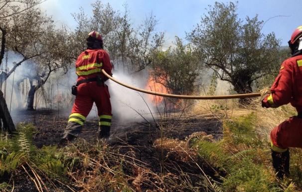 El fuego en Sierra de Gata está "estabilizado" pero se mantiene el Nivel 2 ante el "riesgo de reactivación"