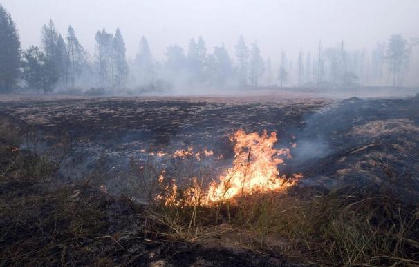 Los incendios han devorado ya más de 550.000 hectáreas de bosques