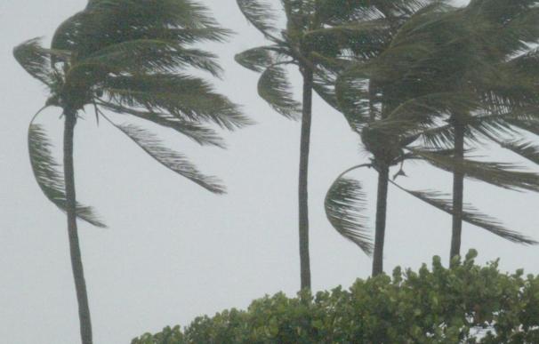 La tormenta tropical "Ophelia" se fortalece rumbo a las Antillas menores