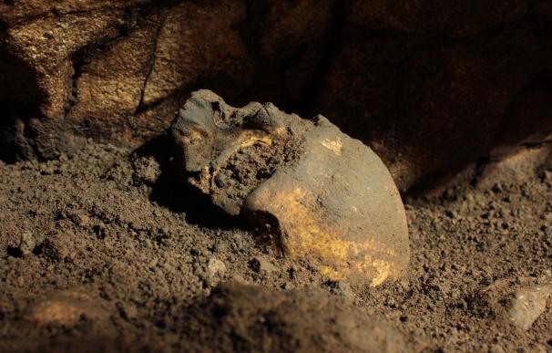 El MARQ localiza un cráneo de 5.000 años en la Cova del Randero en Pedreguer (Alicante)