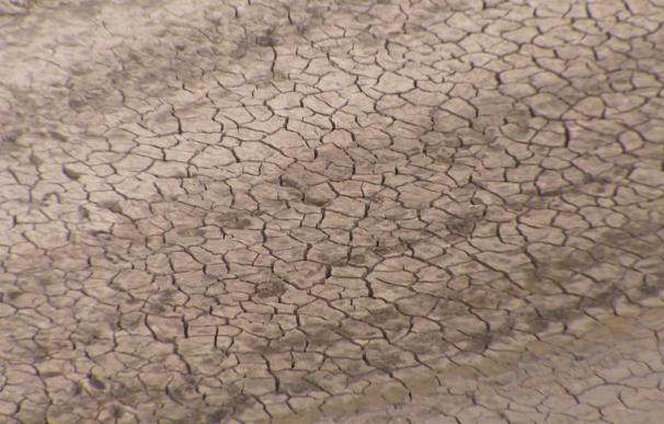 Las organizaciones agrarias, preocupadas por la sequía de cara al año próximo, pues "puede haber riego cero"