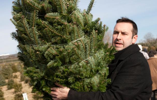 EEUU se queda sin árboles de Navidad