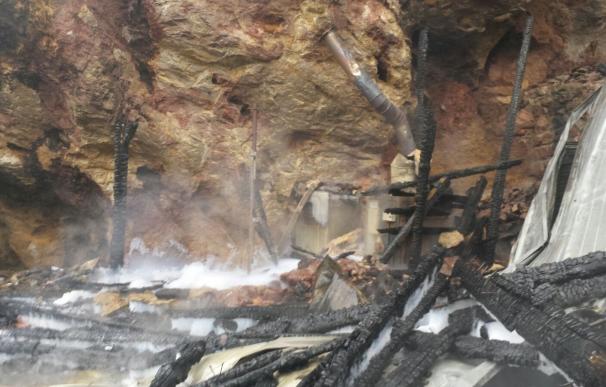 Mueren tres jirafas de Cabárceno al incendiarse la cabaña de su recinto