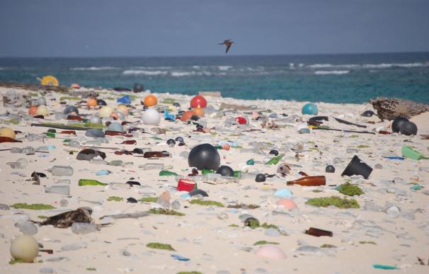 Fotografía de una playa llena de residuos de plástico.