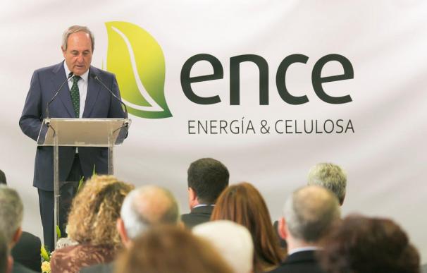 Juan Luis Arregui, presidente de Ence